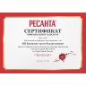 Дизельная пушка РЕСАНТА ТДПН-50000 67/1/13